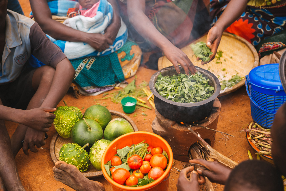 Virtual Event: Nationally Representative Estimates of the Cost of Adequate  Diets, Nutrient Level Drivers, and Policy Options for Households in Rural  Malawi