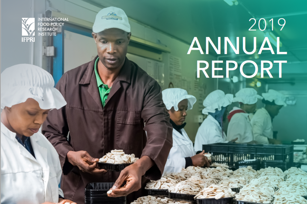 Bangladesh ifpri info 2019 essay contest 06 image