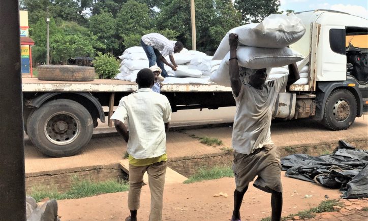 Policy Note 58: The rise of ganyu in Malawi
