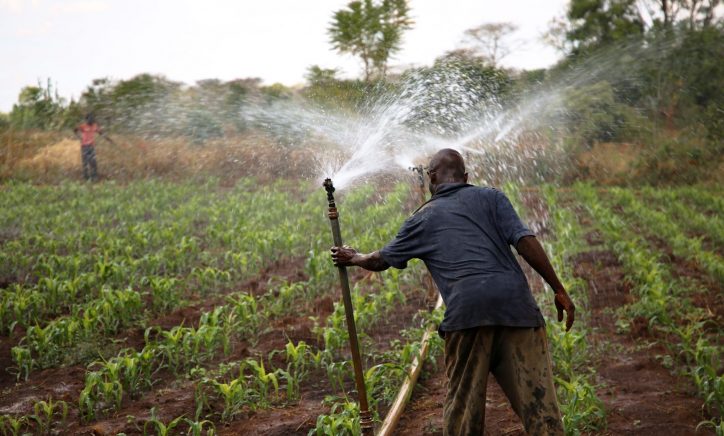 El Niño Could Threaten Food Security in Malawi
