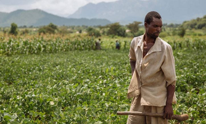 El Niño is coming and the time for Malawi to prepare is running short