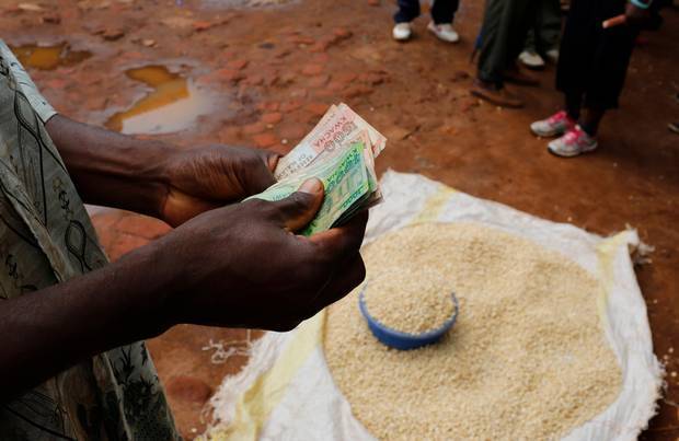 IFPRI Maize market report July 2026