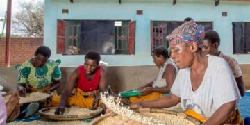 IFPRI Blog: Act now to address Malawi’s looming food crisis
