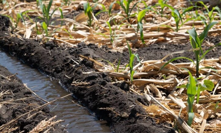 Working Paper 56: Linking Malawian smallholders to larger-scale agribusiness enterprises for inclusive development: A conceptual critique of the anchor enterprise model