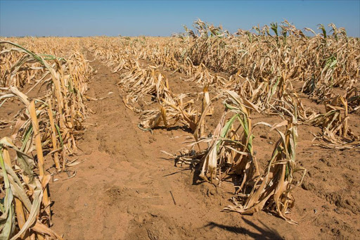 Policy Note 59: El Niño preparedness and response