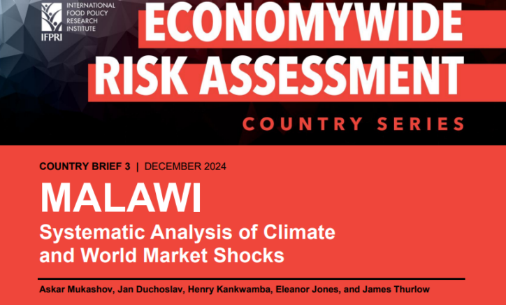 Malawi: Systematic analysis of climate and world market shocks