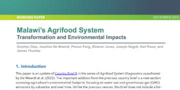 Malawi’s agrifood system: Transformation and environmental impacts