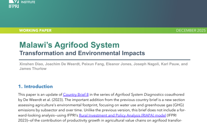 Malawi’s agrifood system: Transformation and environmental impacts