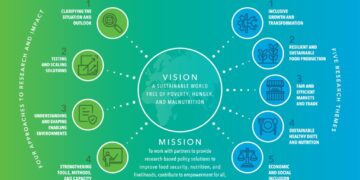 IFPRI Strategy 2026-2030: Food policy research for a changing world