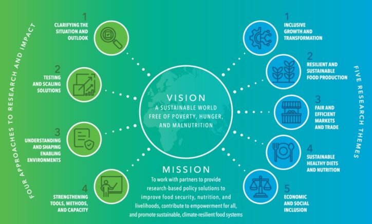 IFPRI Strategy 2026-2030: Food policy research for a changing world