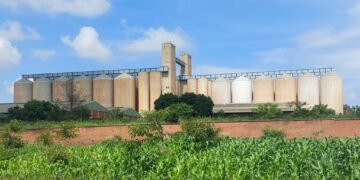 Can Strategic Grain Reserves Stabilize Maize Prices in Malawi? Insights from a Validation Workshop