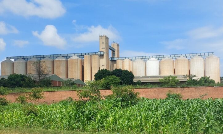 Can Strategic Grain Reserves Stabilize Maize Prices in Malawi? Insights from a Validation Workshop