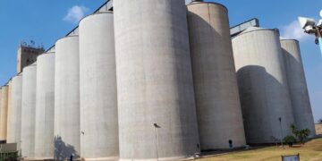 Working Paper 47: Strategic grain reserves and maize price stabilization in Malawi: What policies are feasible?