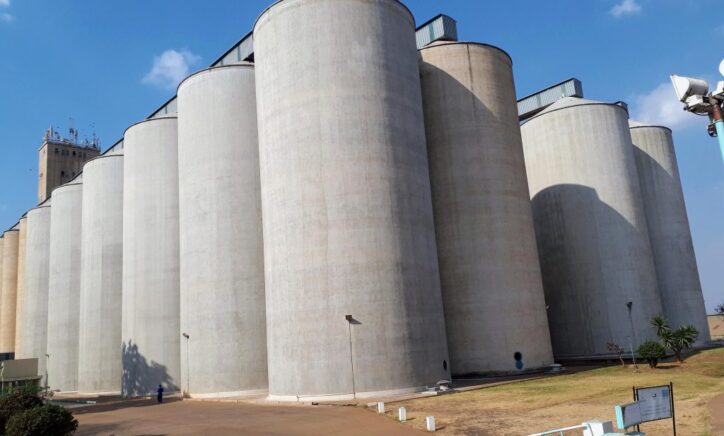 Working Paper 47: Strategic grain reserves and maize price stabilization in Malawi: What policies are feasible?