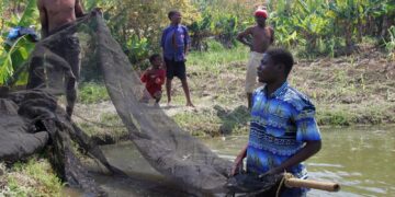 National Policy Dialogue: Preparing for Potential El Niño Impacts on Malawi’s Food Security