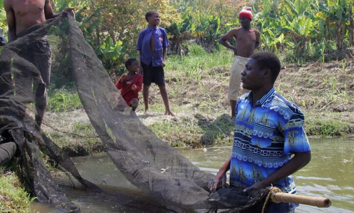 National Policy Dialogue: Preparing for Potential El Niño Impacts on Malawi’s Food Security