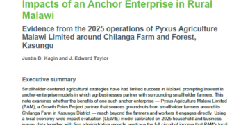 Assessing the local economy-wide impacts of an anchor enterprise in rural Malawi: Evidence from the 2025 operations of Pyxus Agriculture Malawi Limited around Chilanga Farm and Forest, Kasungu