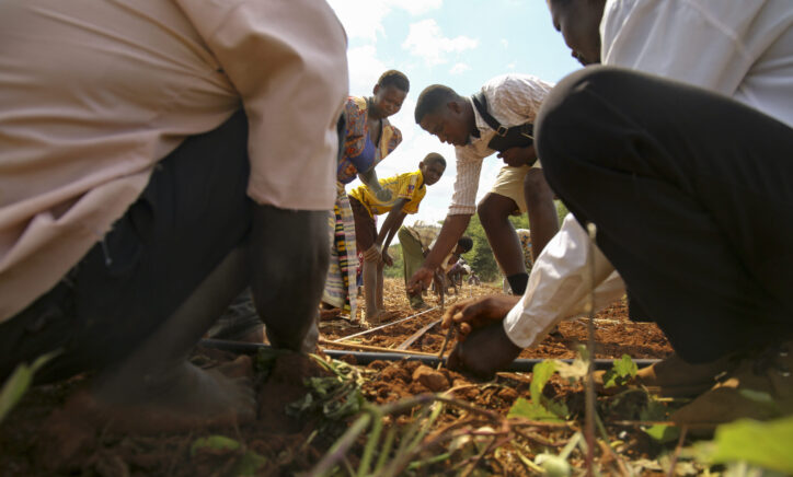 IFPRI’s country offices promote impact, everywhere