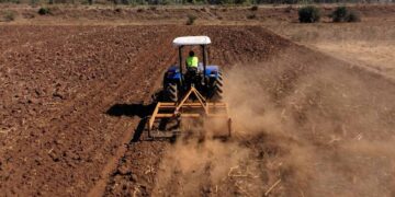 Policy Note 60: Anchor enterprise models and local economic development in Malawi
